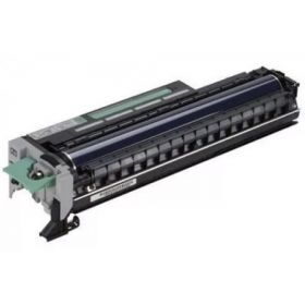 Ricoh (D1170124, D1170128)