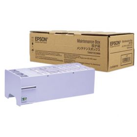 Epson C13T699700