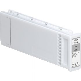 Epson C13T800900