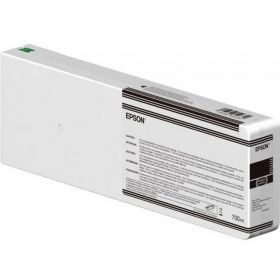 Epson C13T804700