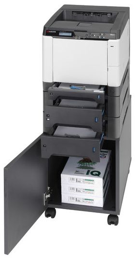 Лазерный принтер Kyocera ECOSYS P6021cdn