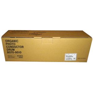 Ricoh B0709510