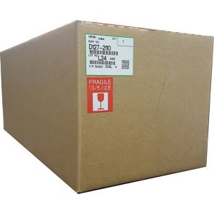 Ricoh D1272110