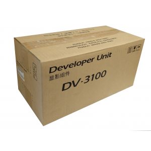 Kyocera DV-3100 (302LV93081)