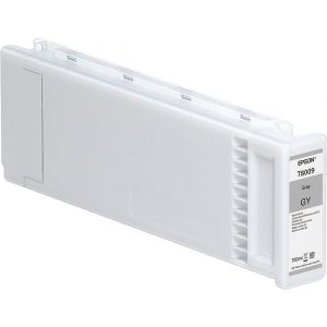 Epson C13T800900
